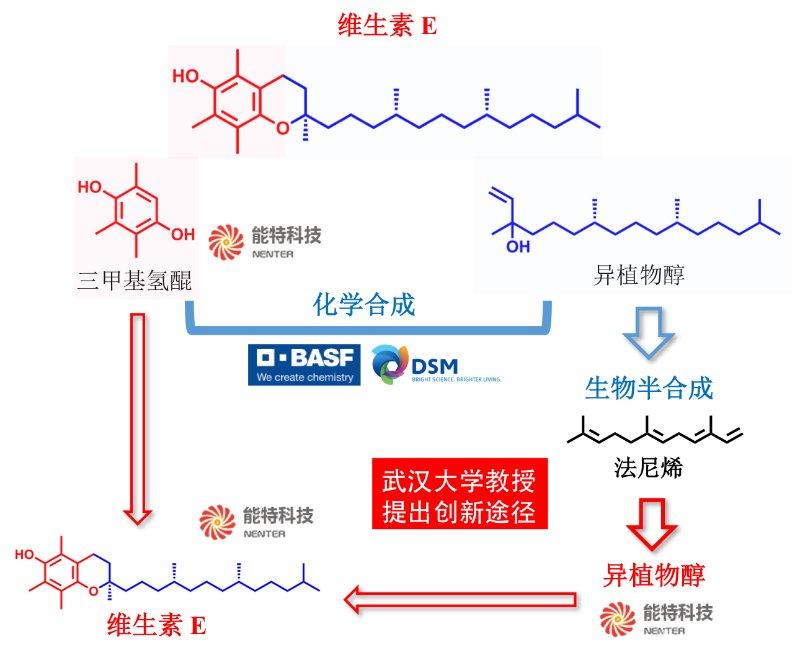 维生素.jpg